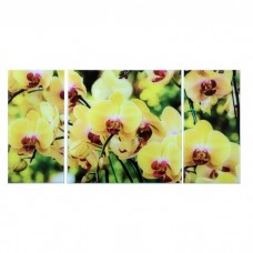 Модульная картина на стекле Солнечные орхидеи 1145182